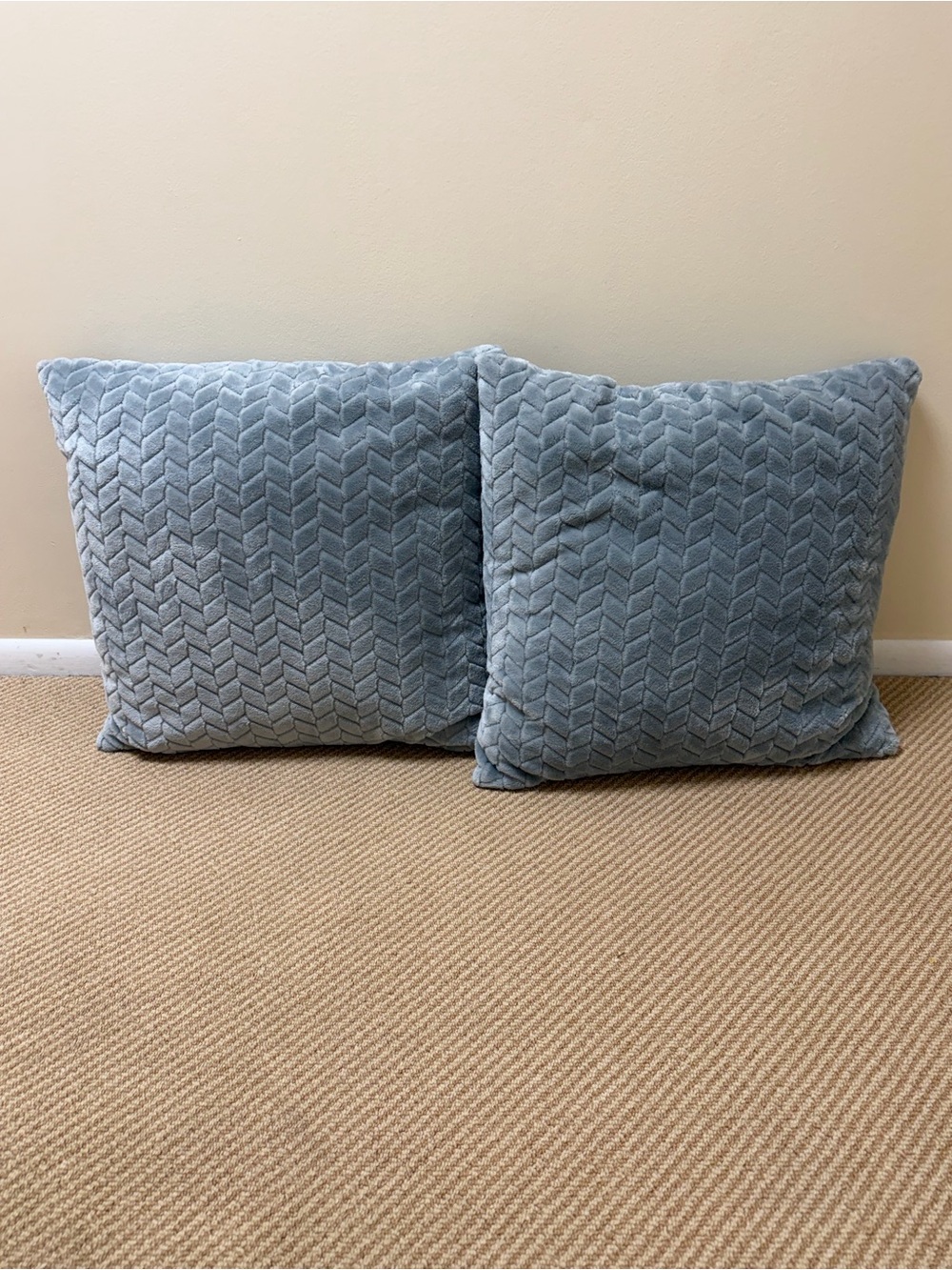 Set of 2 - Decorative Throw Pillows